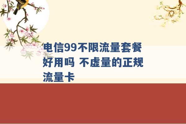 电信99不限流量套餐好用吗 不虚量的正规流量卡 -第1张图片-电信联通移动号卡网