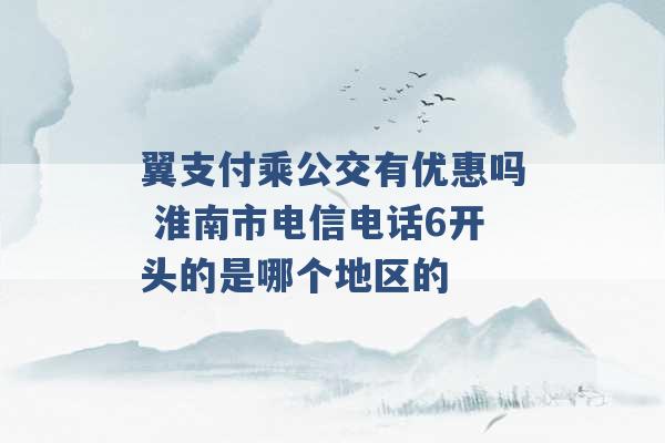 翼支付乘公交有优惠吗 淮南市电信电话6开头的是哪个地区的 -第1张图片-电信联通移动号卡网