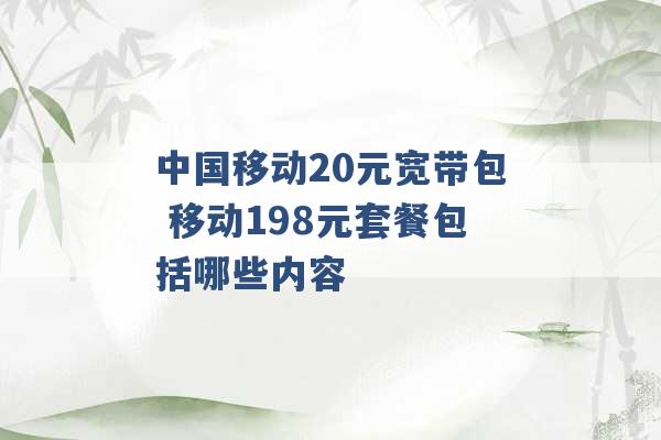 中国移动20元宽带包 移动198元套餐包括哪些内容 -第1张图片-电信联通移动号卡网