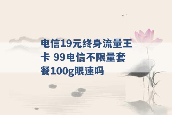 电信19元终身流量王卡 99电信不限量套餐100g限速吗 -第1张图片-电信联通移动号卡网