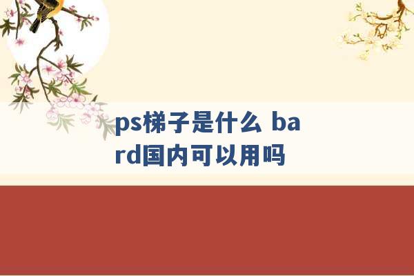 ps梯子是什么 bard国内可以用吗 -第1张图片-电信联通移动号卡网