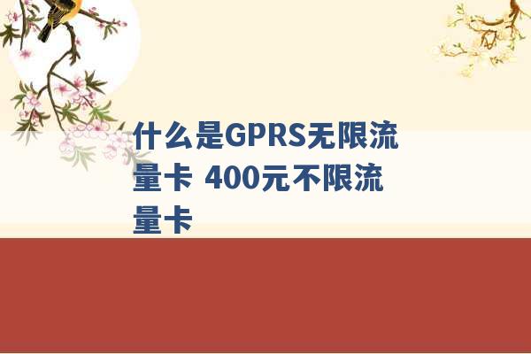 什么是GPRS无限流量卡 400元不限流量卡 -第1张图片-电信联通移动号卡网