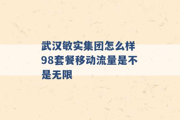 武汉敏实集团怎么样 98套餐移动流量是不是无限 -第1张图片-电信联通移动号卡网