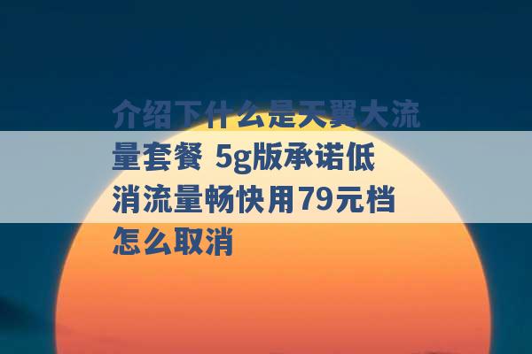 介绍下什么是天翼大流量套餐 5g版承诺低消流量畅快用79元档怎么取消 -第1张图片-电信联通移动号卡网