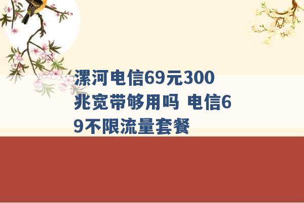 漯河电信69元300兆宽带够用吗 电信69不限流量套餐 -第1张图片-电信联通移动号卡网