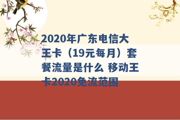 2020年广东电信大王卡（19元每月）套餐流量是什么 移动王卡2020免流范围 -第1张图片-电信联通移动号卡网