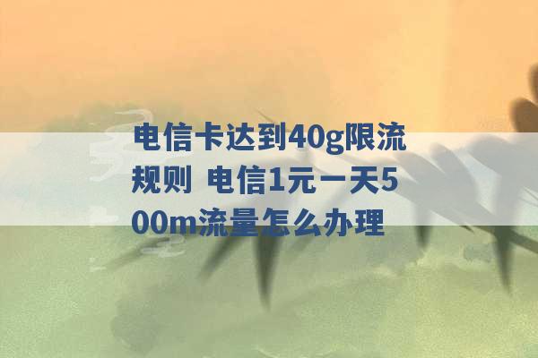 电信卡达到40g限流规则 电信1元一天500m流量怎么办理 -第1张图片-电信联通移动号卡网