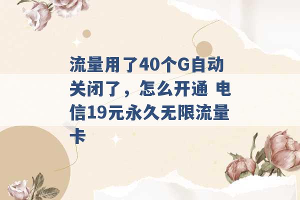 流量用了40个G自动关闭了，怎么开通 电信19元永久无限流量卡 -第1张图片-电信联通移动号卡网