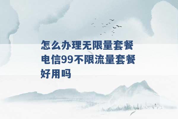 怎么办理无限量套餐 电信99不限流量套餐好用吗 -第1张图片-电信联通移动号卡网