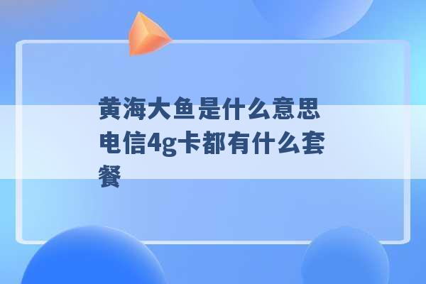 黄海大鱼是什么意思 电信4g卡都有什么套餐 -第1张图片-电信联通移动号卡网