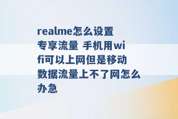 realme怎么设置专享流量 手机用wifi可以上网但是移动数据流量上不了网怎么办急 -第1张图片-电信联通移动号卡网