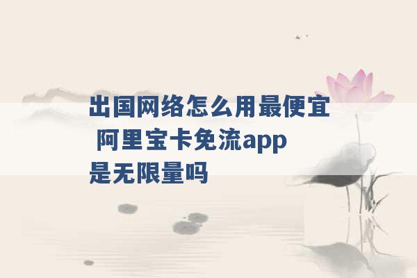 出国网络怎么用最便宜 阿里宝卡免流app是无限量吗 -第1张图片-电信联通移动号卡网