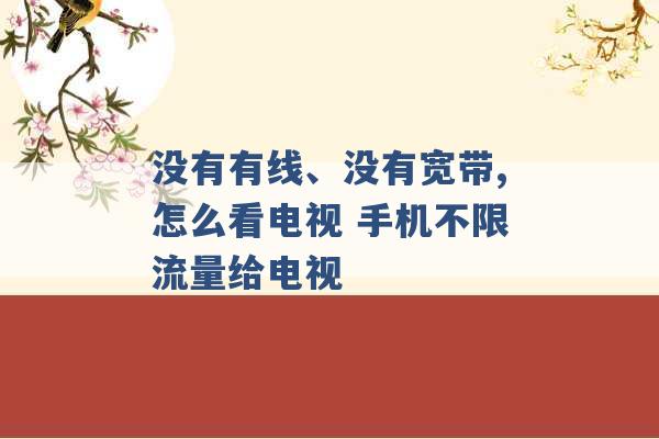 没有有线、没有宽带,怎么看电视 手机不限流量给电视 -第1张图片-电信联通移动号卡网