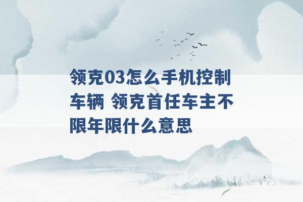 领克03怎么手机控制车辆 领克首任车主不限年限什么意思 -第1张图片-电信联通移动号卡网