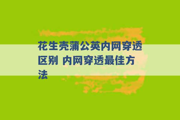 花生壳蒲公英内网穿透区别 内网穿透最佳方法 -第1张图片-电信联通移动号卡网