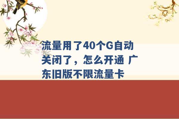 流量用了40个G自动关闭了，怎么开通 广东旧版不限流量卡 -第1张图片-电信联通移动号卡网