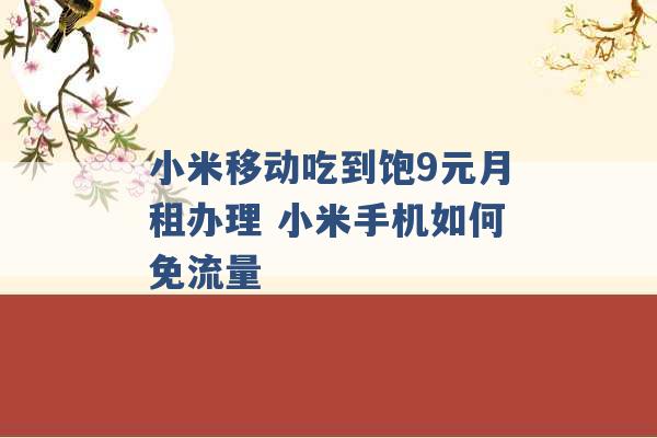 小米移动吃到饱9元月租办理 小米手机如何免流量 -第1张图片-电信联通移动号卡网