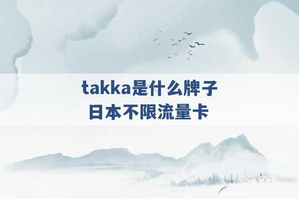 takka是什么牌子 日本不限流量卡 -第1张图片-电信联通移动号卡网