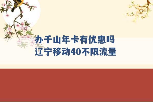 办千山年卡有优惠吗 辽宁移动40不限流量 -第1张图片-电信联通移动号卡网