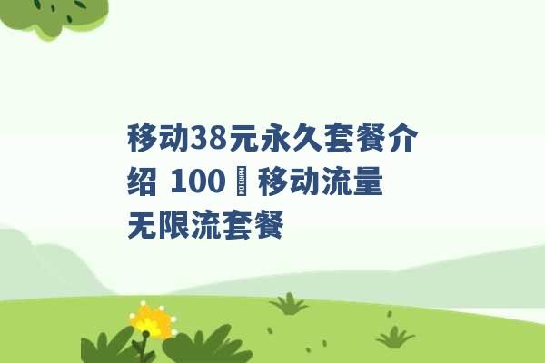 移动38元永久套餐介绍 100 移动流量无限流套餐 -第1张图片-电信联通移动号卡网