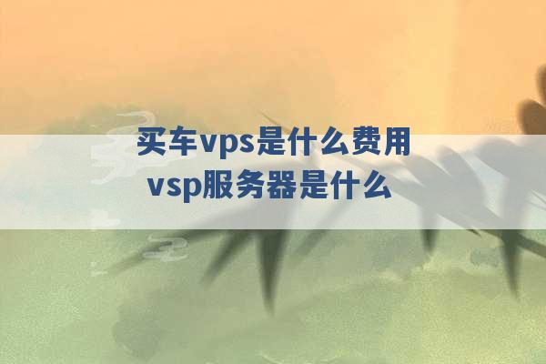 买车vps是什么费用 vsp服务器是什么 -第1张图片-电信联通移动号卡网