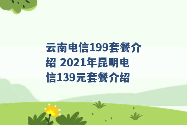 云南电信199套餐介绍 2021年昆明电信139元套餐介绍 -第1张图片-电信联通移动号卡网