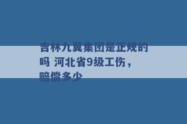 吉林九翼集团是正规的吗 河北省9级工伤，赔偿多少 -第1张图片-电信联通移动号卡网