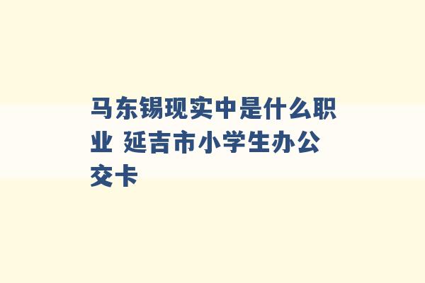 马东锡现实中是什么职业 延吉市小学生办公交卡 -第1张图片-电信联通移动号卡网