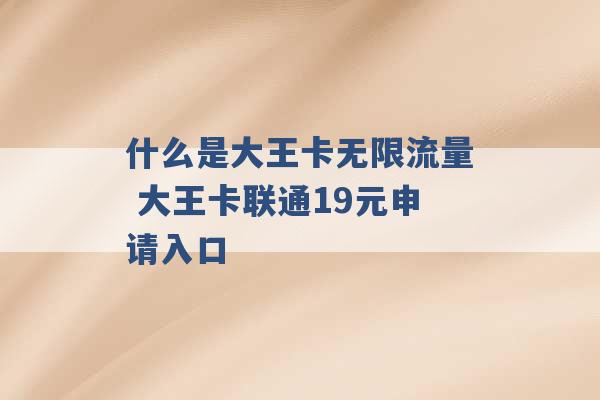 什么是大王卡无限流量 大王卡联通19元申请入口 -第1张图片-电信联通移动号卡网