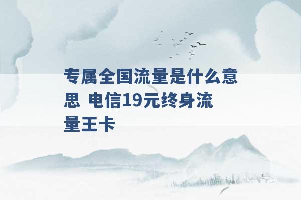 专属全国流量是什么意思 电信19元终身流量王卡 -第1张图片-电信联通移动号卡网