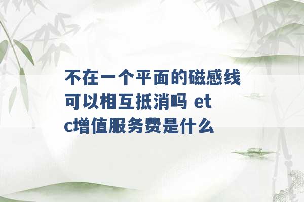 不在一个平面的磁感线可以相互抵消吗 etc增值服务费是什么 -第1张图片-电信联通移动号卡网