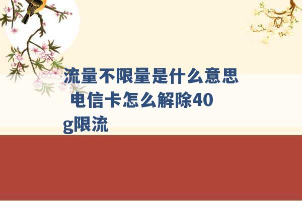 流量不限量是什么意思 电信卡怎么解除40g限流 -第1张图片-电信联通移动号卡网