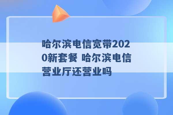 哈尔滨电信宽带2020新套餐 哈尔滨电信营业厅还营业吗 -第1张图片-电信联通移动号卡网