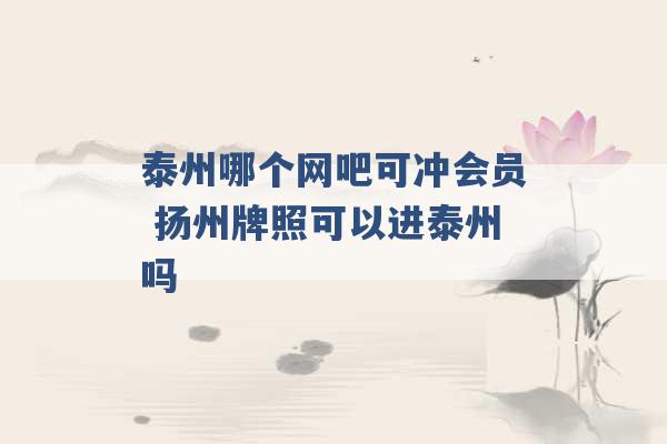 泰州哪个网吧可冲会员 扬州牌照可以进泰州吗 -第1张图片-电信联通移动号卡网