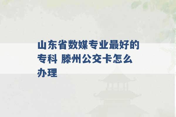 山东省数媒专业最好的专科 滕州公交卡怎么办理 -第1张图片-电信联通移动号卡网