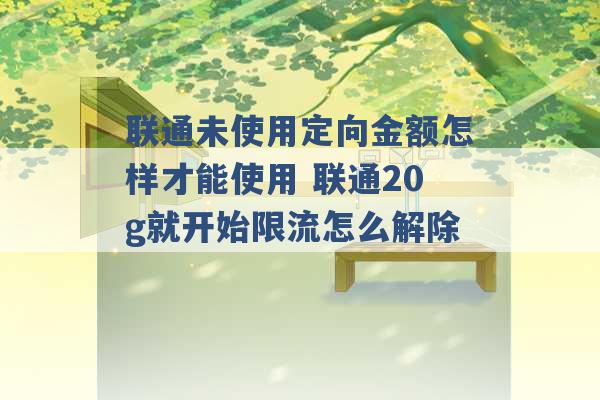 联通未使用定向金额怎样才能使用 联通20g就开始限流怎么解除 -第1张图片-电信联通移动号卡网