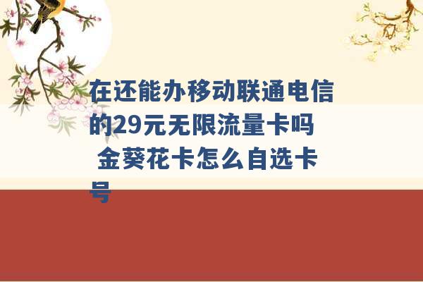 在还能办移动联通电信的29元无限流量卡吗 金葵花卡怎么自选卡号 -第1张图片-电信联通移动号卡网