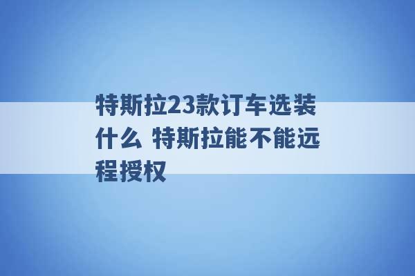 特斯拉23款订车选装什么 特斯拉能不能远程授权 -第1张图片-电信联通移动号卡网