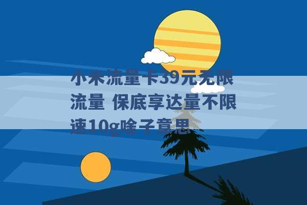 小米流量卡39元无限流量 保底享达量不限速10g啥子意思 -第1张图片-电信联通移动号卡网