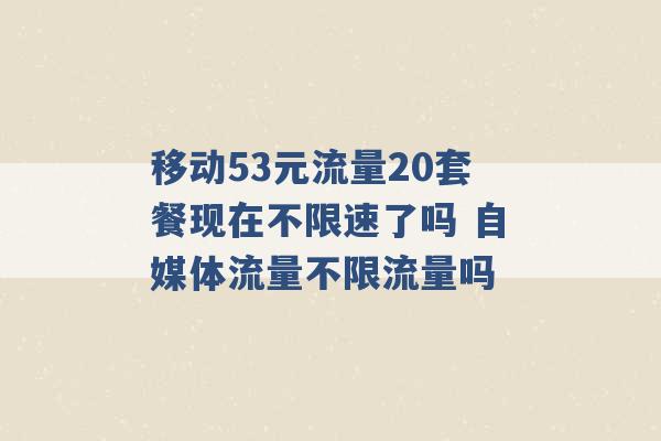 移动53元流量20套餐现在不限速了吗 自媒体流量不限流量吗 -第1张图片-电信联通移动号卡网