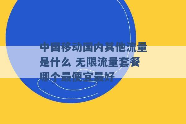 中国移动国内其他流量是什么 无限流量套餐哪个最便宜最好 -第1张图片-电信联通移动号卡网