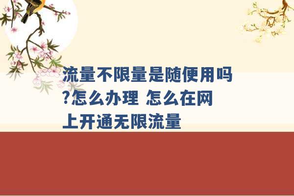 流量不限量是随便用吗?怎么办理 怎么在网上开通无限流量 -第1张图片-电信联通移动号卡网