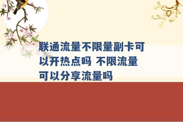 联通流量不限量副卡可以开热点吗 不限流量可以分享流量吗 -第1张图片-电信联通移动号卡网