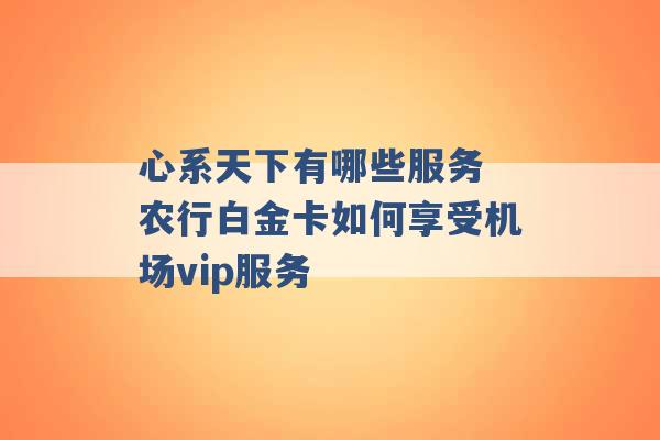 心系天下有哪些服务 农行白金卡如何享受机场vip服务 -第1张图片-电信联通移动号卡网