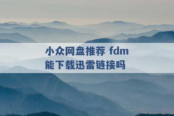 小众网盘推荐 fdm能下载迅雷链接吗 -第1张图片-电信联通移动号卡网