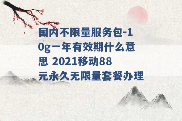 国内不限量服务包-10g一年有效期什么意思 2021移动88元永久无限量套餐办理 -第1张图片-电信联通移动号卡网