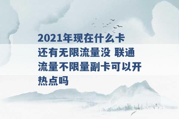 2021年现在什么卡还有无限流量没 联通流量不限量副卡可以开热点吗 -第1张图片-电信联通移动号卡网