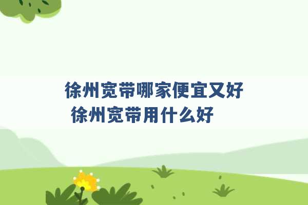 徐州宽带哪家便宜又好 徐州宽带用什么好 -第1张图片-电信联通移动号卡网