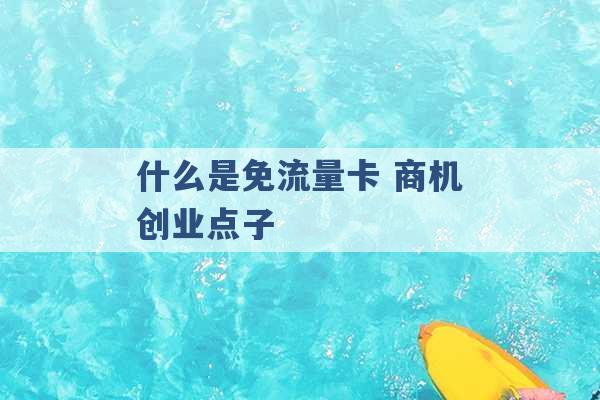 什么是免流量卡 商机创业点子 -第1张图片-电信联通移动号卡网