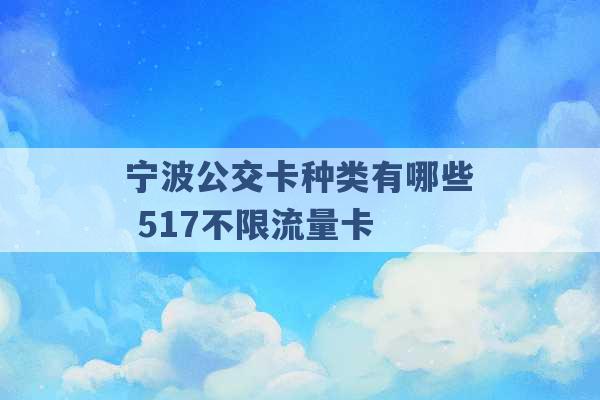 宁波公交卡种类有哪些 517不限流量卡 -第1张图片-电信联通移动号卡网